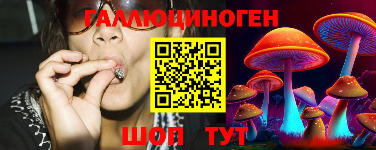 Псилоцибиновые грибы прущие грибы Уссурийск