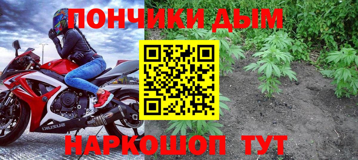 Конопля гибрид Уссурийск